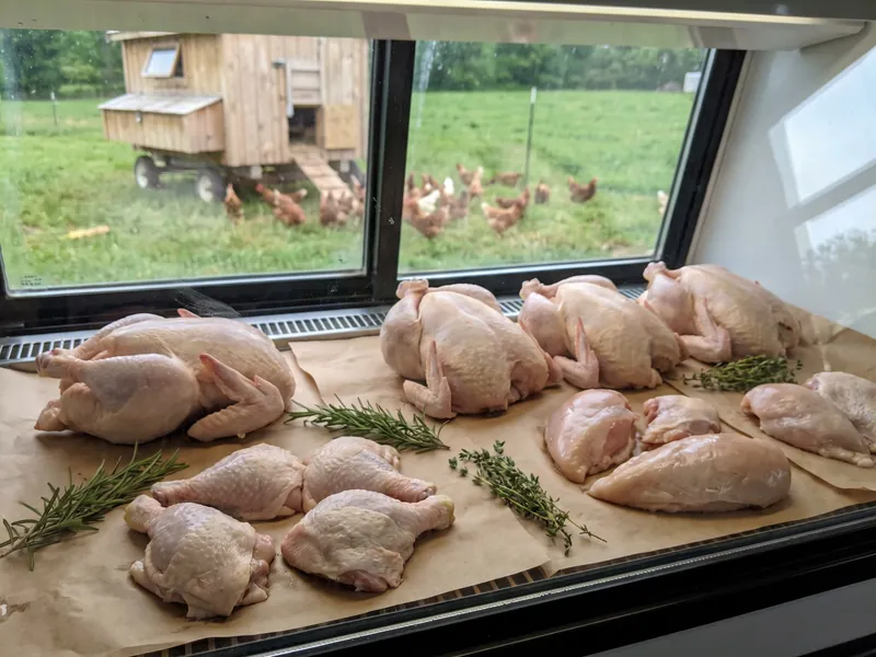 Whole chickens in a farm shop case with a mobile coop and flock through the window