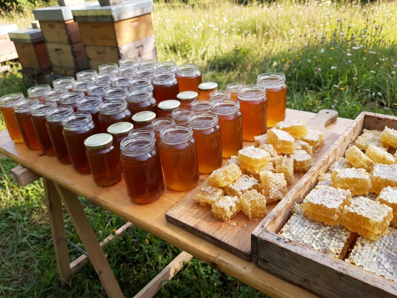 Jars of honey and cut comb on a table beside the hives