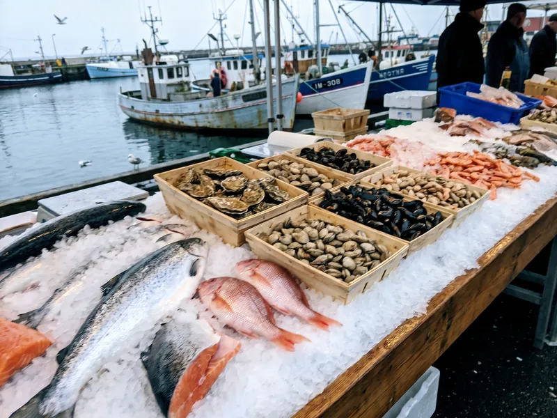 Fish, shellfish and crab on ice at a dockside seafood counter with boats behind